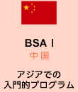 BSA I 中国・韓国