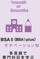 BSA II モチベーション型