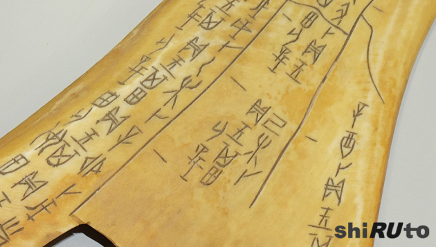 漢字の成り立ちを知れば、書ける・使える・記憶に残る　文字学の巨人が教える漢字のヒミツ