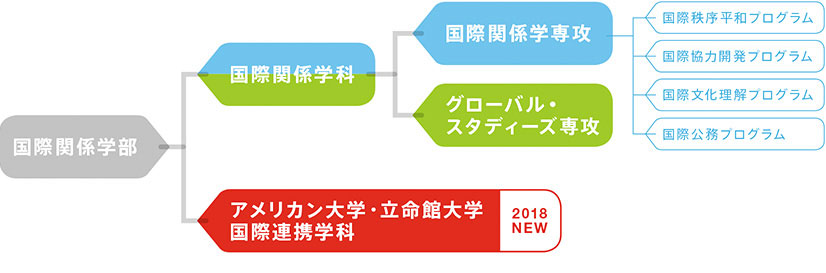 国際関係学部の学科・専攻の構成