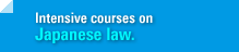 Intensive courses on Japanese law.