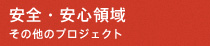 安全・安心領域：その他のプロジェクト