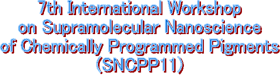 7th International Workshop
on Supramolecular Nanoscience
of Chemically Programmed Pigments
(SNCPP11)