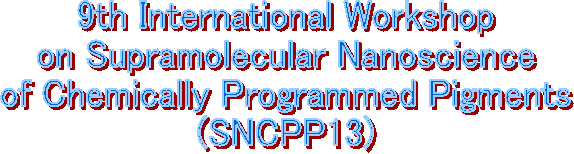 9th International Workshop
on Supramolecular Nanoscience
of Chemically Programmed Pigments
(SNCPP13)