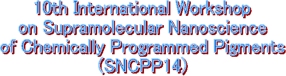 10th International Workshop
on Supramolecular Nanoscience
of Chemically Programmed Pigments
(SNCPP14)