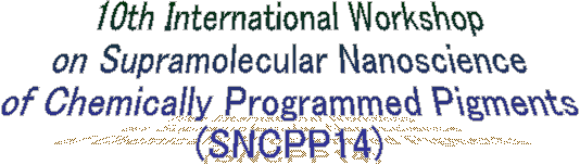 10th International Workshop
on Supramolecular Nanoscience
of Chemically Programmed Pigments
(SNCPP14)