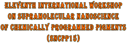 Eleventh International Workshop on Supramolecular Nanoscience of Chemically Programmed Pigments (SNCPP15)