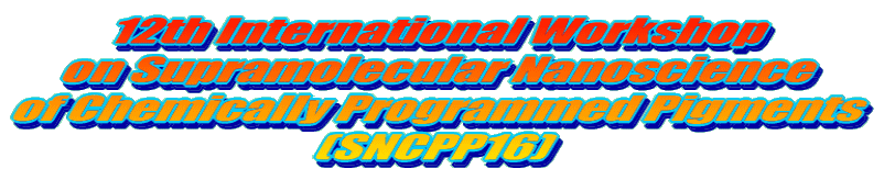 12th International Workshop on Supramolecular Nanoscience of Chemically Programmed Pigments (SNCPP16) 