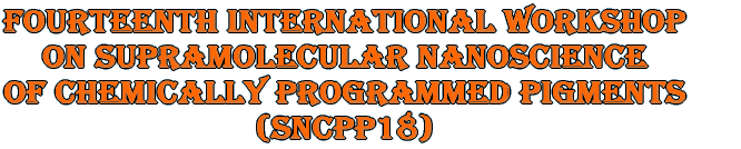 Fourteenth International Workshop on Supramolecular Nanoscience of Chemically Programmed Pigments (SNCPP18)