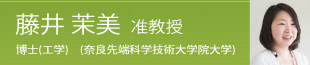 藤井 茉美 准教授(工学) (奈良先端科学技術大学院大学)