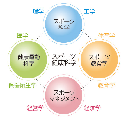 4つの柱相関図