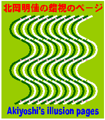 Akiyoshi's illusion pages