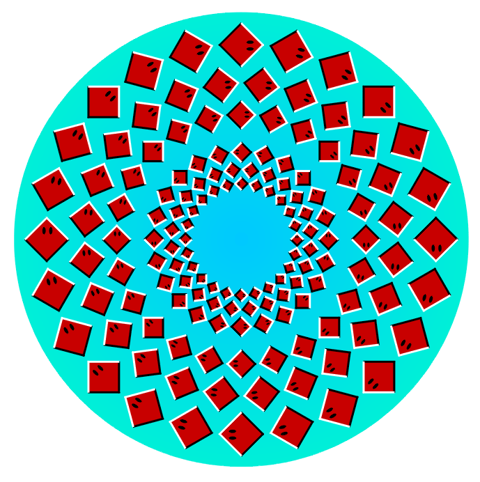 Opticke iluzije - Page 2 Rotrays