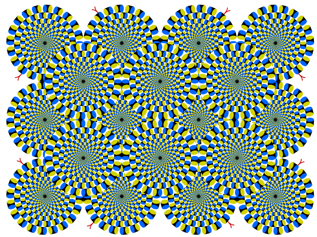 Opticke iluzije - Page 2 Rotsnake