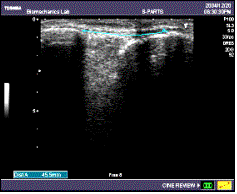 img2.gif