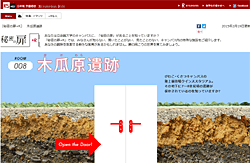To website for Bokewara site (Japanese only)