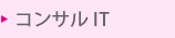 コンサルIT