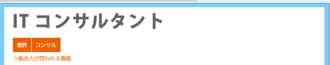 ITコンサルタント ＞総合力が問われる職種