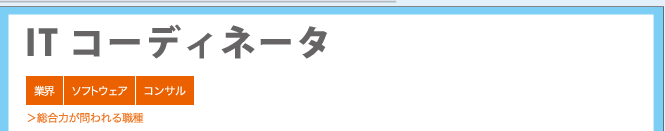 ITコーディネータ ＞総合力が問われる職種