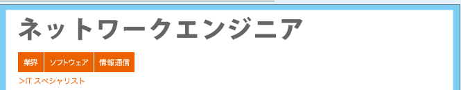 ネットワークエンジニア ＞ITスペシャリスト