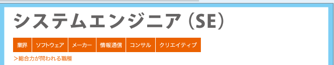 システムエンジニア(SE) ＞総合力が問われる職種