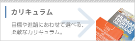 カリキュラム
