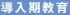 導入期教育