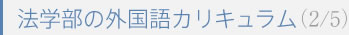 法学部の外国語カリキュラム