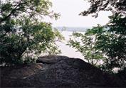 k_img_31