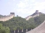 y_img_65