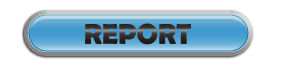 REPORT