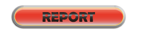 REPORT