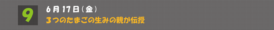 subtitle