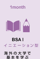 BSA I イニエーション型