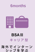 BSA III キャリア型