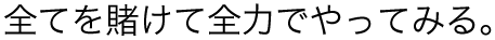 全てを賭けて全力でやってみる。