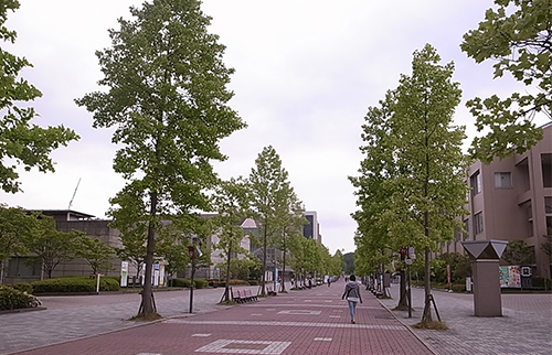 写真5-4-14 キャンパス・プロムナード