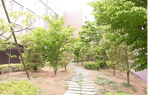 写真5-4-16 コラーニングハウスⅠとⅡの間の緑地
