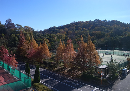 写真5-4-19 キャンパス内から牟礼山を望む