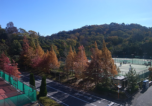 写真5-4-19　キャンパス内から牟礼山を望む