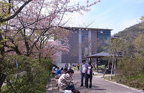 写真5-5-5　中央広場