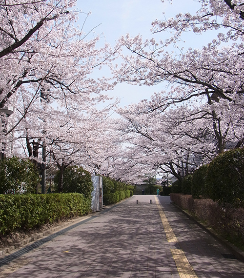 写真5-5-6　充光館南側通路