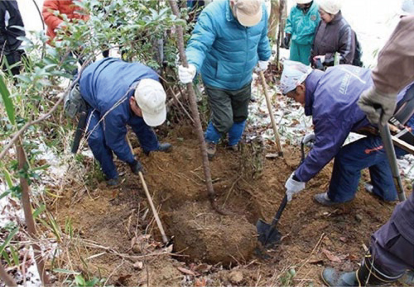 写真4-6-4　育てる里山プロジェクト