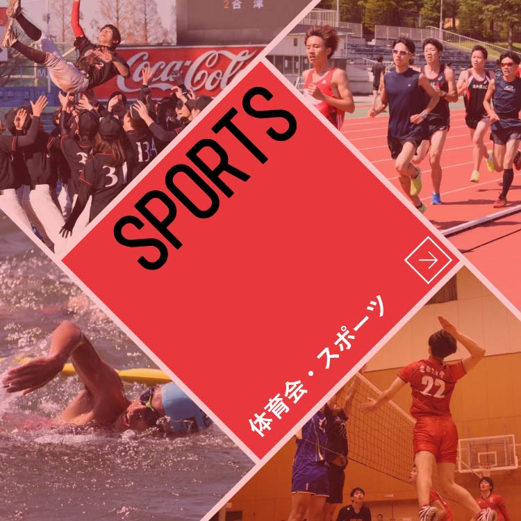 体育会・スポーツ：SPORTS