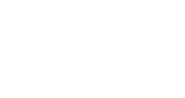 11/26（SUN）