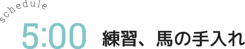 練習、馬の手入れ