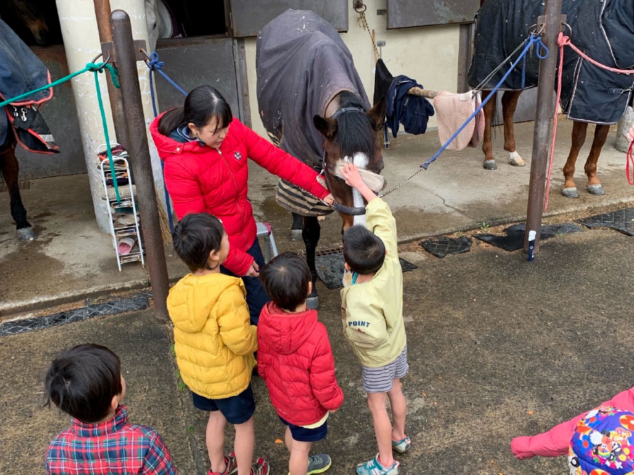 [写真]馬と園児のふれあい