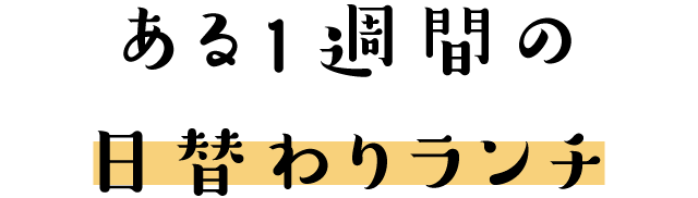 手作りお惣菜、ほんの一部をご紹介！！