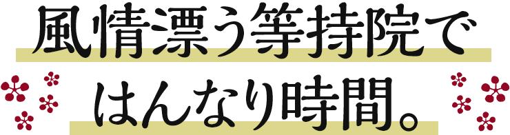 風情漂う等持院ではんなり時間。