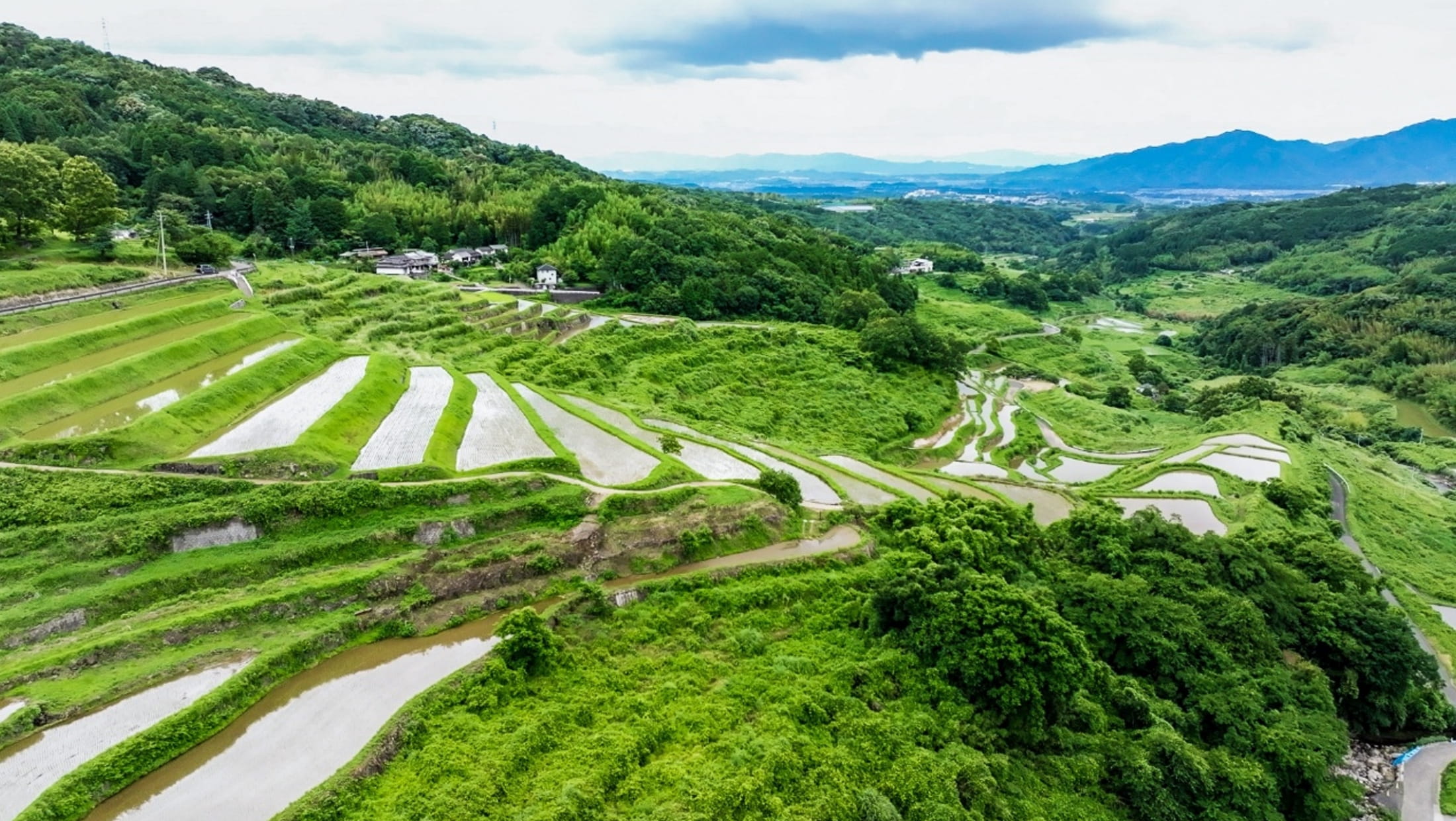 大分・内成棚田